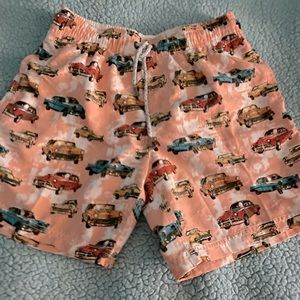 Island Haze Swimwear Swimtrunks